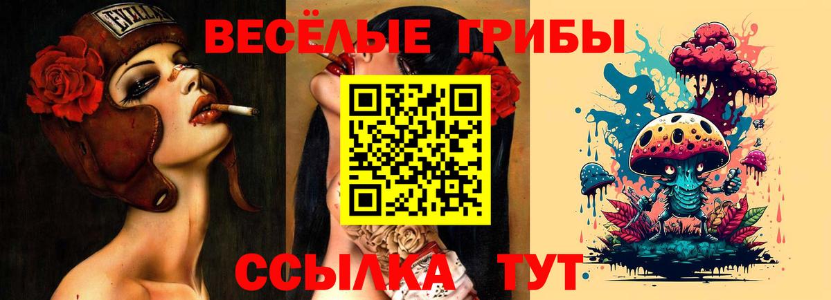 Псилоцибиновые грибы Psilocybine cubensis  Вход с VPN  Куйбышев 